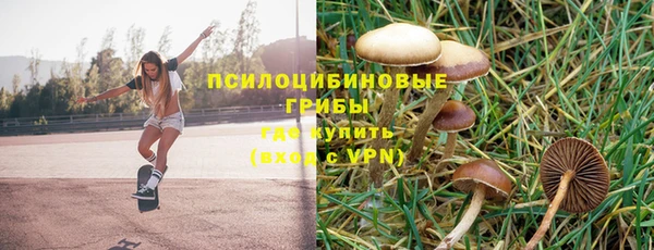 прущие крисы Нея