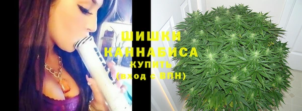 круглые Новозыбков