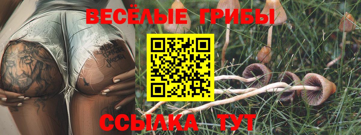  Кокаин Тобольск