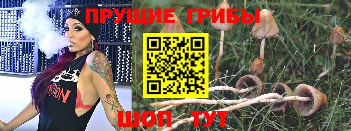 Тобольск  Псилоцибиновые грибы MAGIC MUSHROOMS  Вход с VPN  Псилоцибиновые грибы Cubensis 